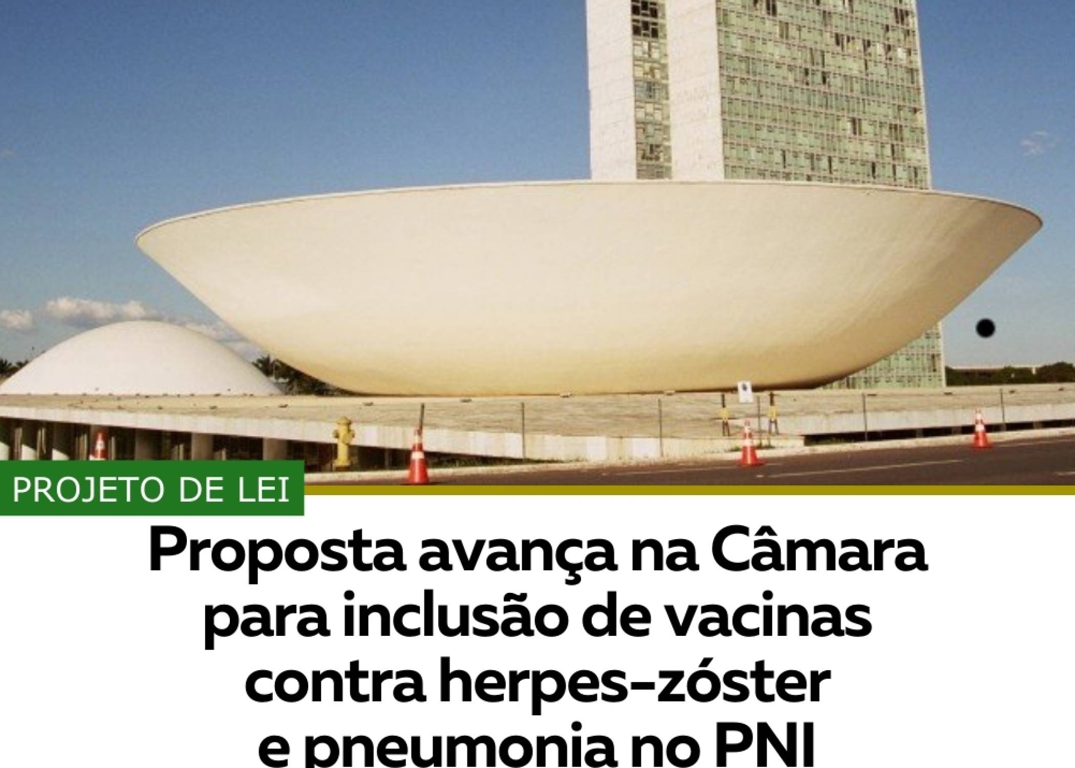 PROPOSTA AVANÇA NA CÂMARA PARA INCLUSÃO DE VACINAS CONTRA HERPES-ZÓSTER E PNEUMONIA NO PNI