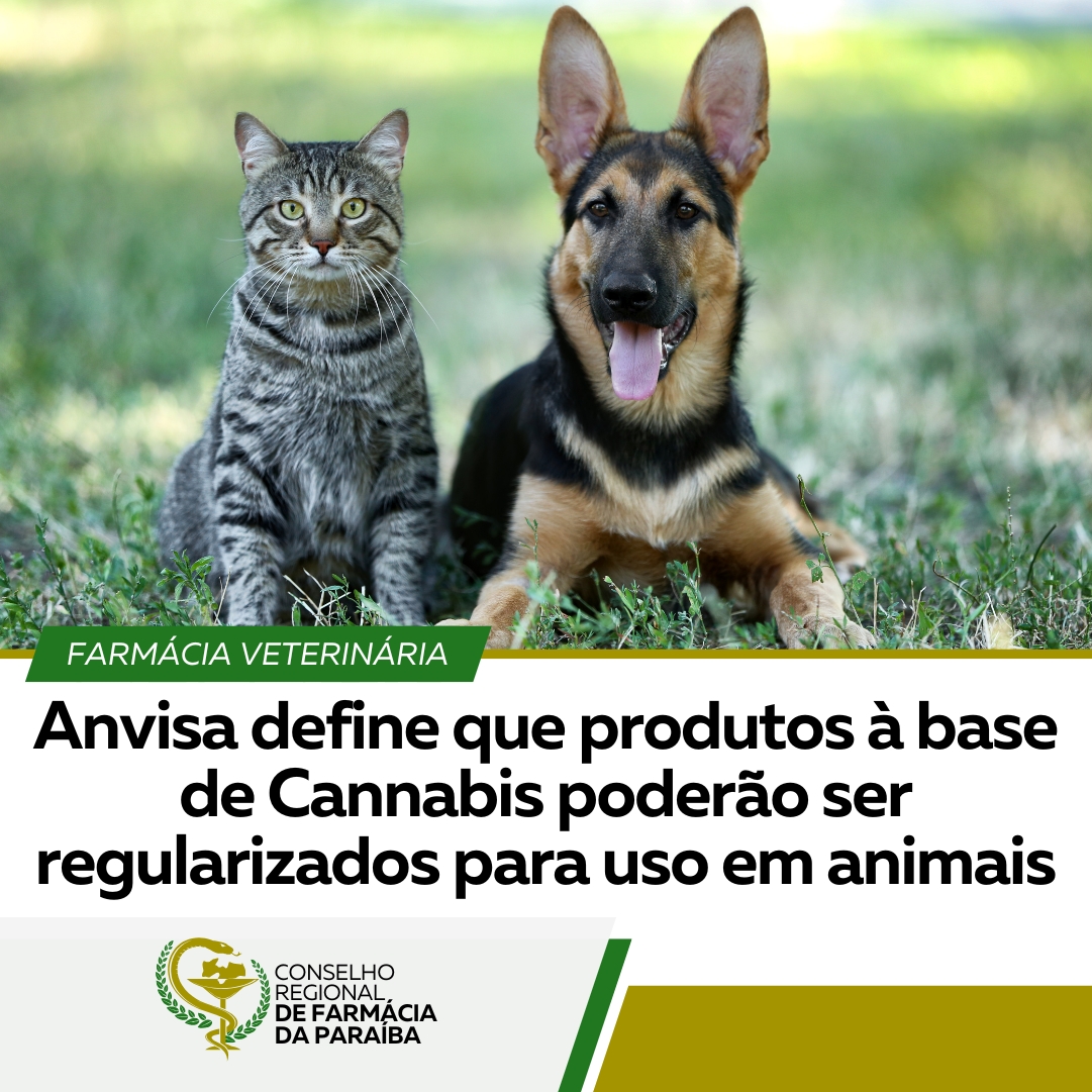 ANVISA DEFINE QUE PRODUTOS À BASE DE CANNABIS PODERÃO SER REGULARIZADOS PARA USO EM ANIMAIS