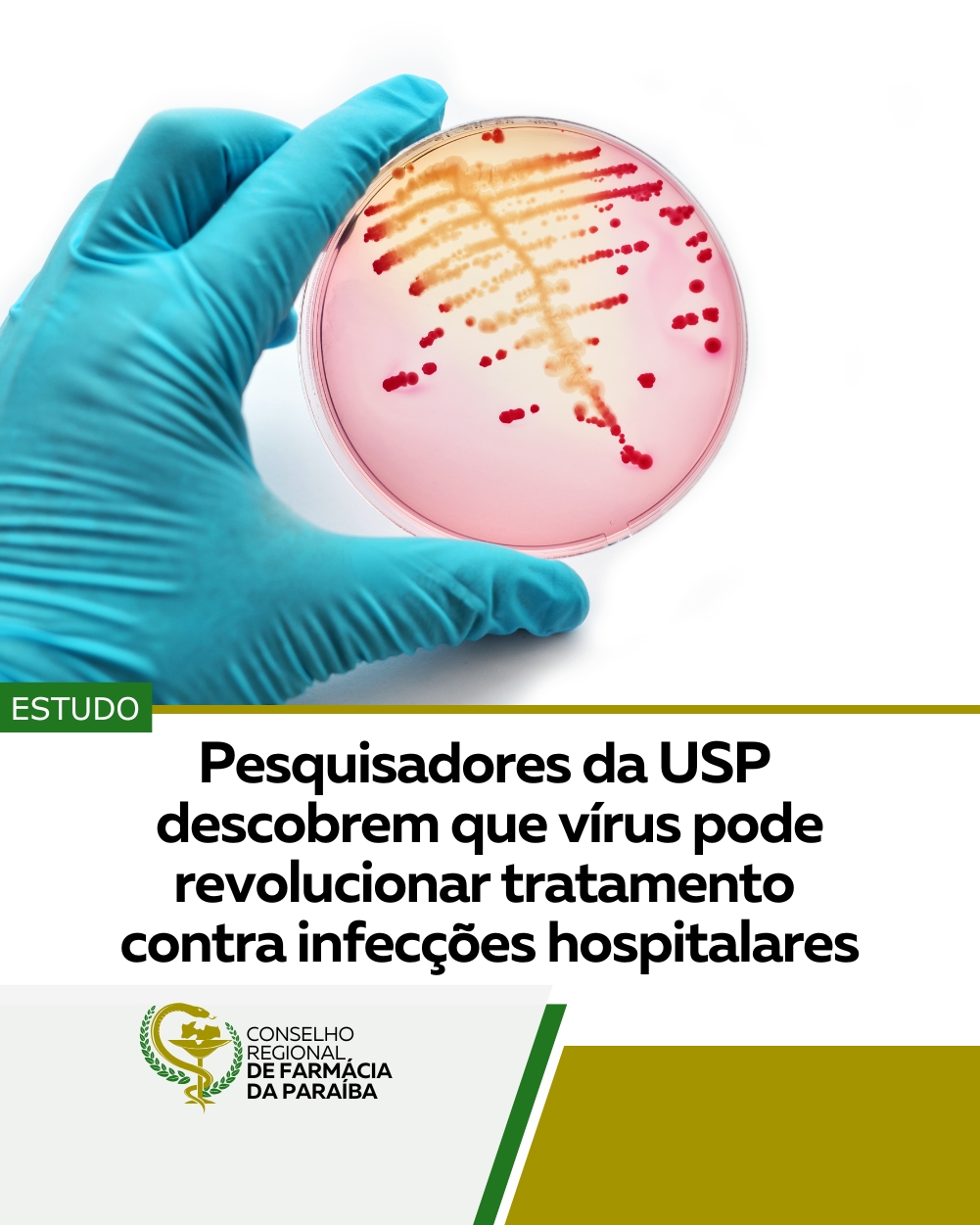 PESQUISADORES DA USP DESCOBREM QUE VÍRUS PODE REVOLUCIONAR TRATAMENTO CONTRA INFECÇÕES HOSPITALARES