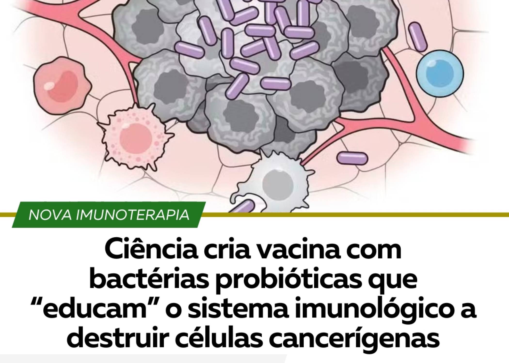 CIÊNCIA CRIA VACINA COM BACTÉRIAS PROBIÓTICAS QUE 